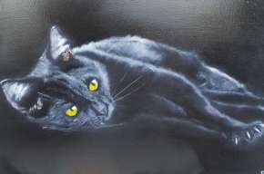 Чёрная кошка