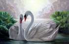  Картина Лебеди