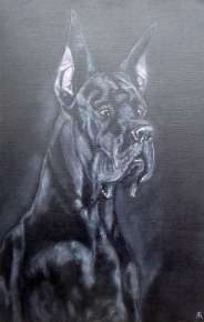 Чёрный немецкий дог