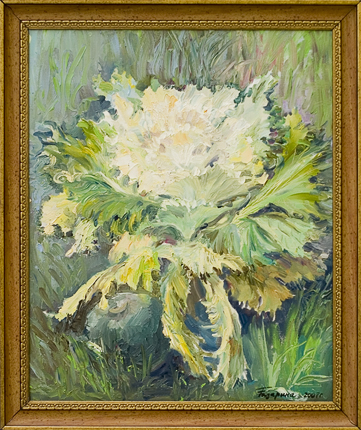 Жетлая капуста