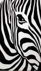  Картина Зебра 