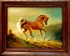  Картина Рождённый в пустыне. Арабская лошадь