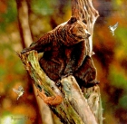  Картина Мишаня