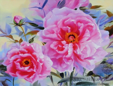 Розовые пионы