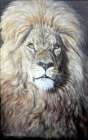  Картина Портрет льва