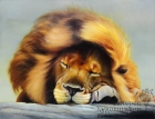 Картина Лев